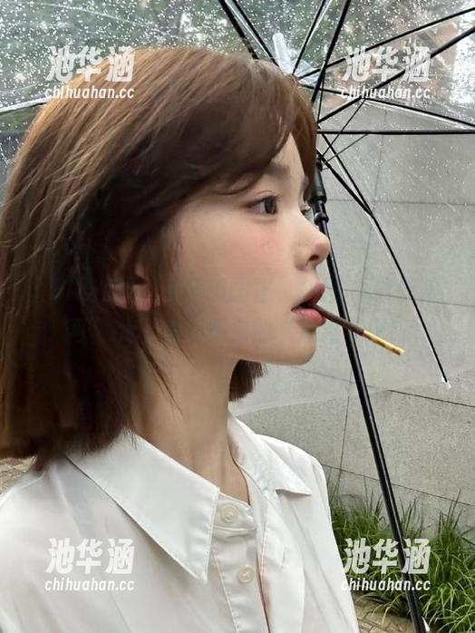 今日瓜图鉴，快用“51吃瓜网”app来对照你的“瓜友”吧！