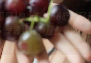 快上车！66吃瓜网开启“吃瓜达人”专属线路，座位有限，先到先得！