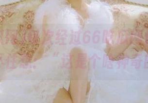 每次经过66吃瓜网传送门，我都忍不住想：“这是个啥神奇的洞？！