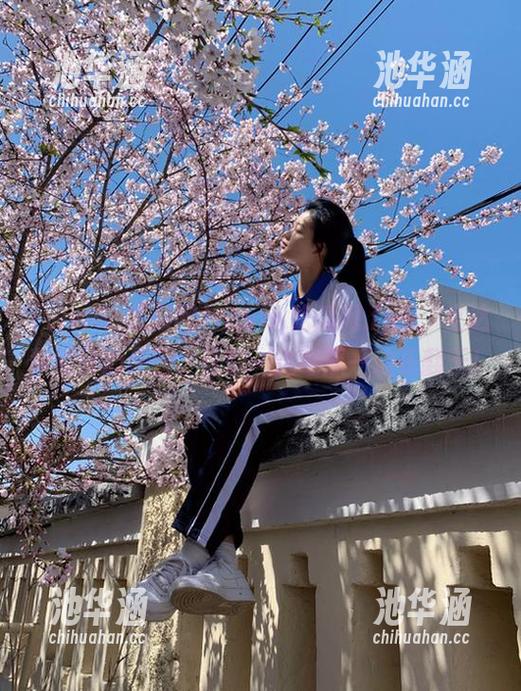 www.吃瓜网.fun，直达你的开心果园，让你一边吃瓜一边乐翻天！