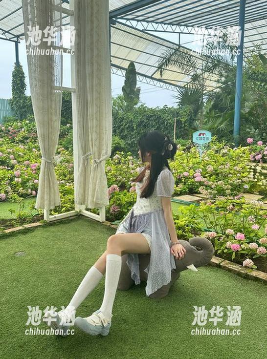 直达吃瓜天堂，没想到瓜这么多啊！