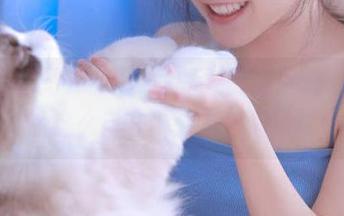 吃瓜网站的入口免费观看，居然这么自在，太有意思了。